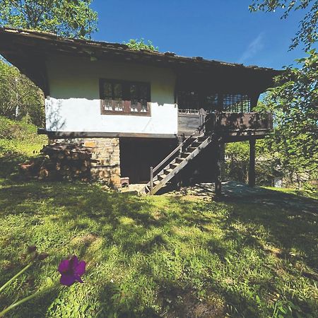 Guest House Cana Mihova Bozhentsi Eksteriør billede